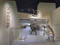 -国家自然博物馆