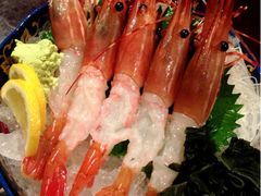 牡丹虾刺身-松子料理(亮马桥店)