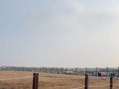 -盐城丹顶鹤湿地生态旅游区