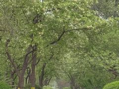 -永定河休闲森林公园