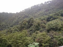 -敬亭山风景名胜区