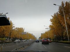 -古耳咖啡(北锣店)