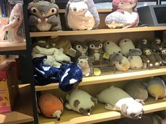 -九木杂物社(恒隆广场店)