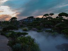 -罗红摄影艺术馆