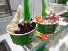 -Salud撒露欧洲冻酸奶(蓝色港湾店)