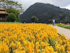 -广州市石门国家森林公园