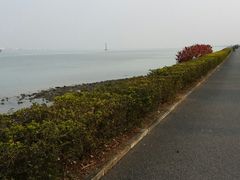 -海鸥岛