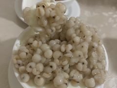 薏米双皮奶-老周记顺德双皮奶