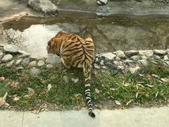 -昆明动物园