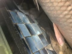 -官也街澳门火锅(新源里店)