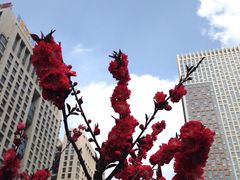 iphone_upload_pic-天鹅湖体育公园