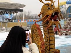 -海盗传奇水世界