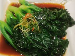 -新南华大酒店(长寿店)