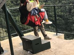 -梦幻奥陶纪景区