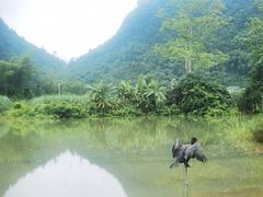 -明仕田园