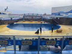 -海合安青岛极地海洋公园