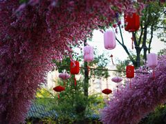 -南汇桃花村