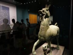 -广西壮族自治区博物馆