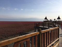 向海同心-红海滩国家风景廊道