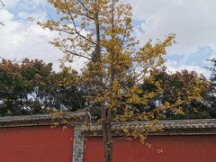 -建水文庙