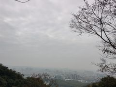-云溪植物园