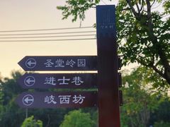 -长洲岛