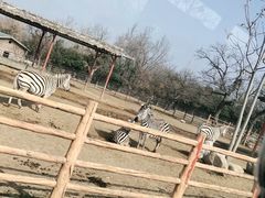 -西安秦岭野生动物园