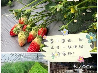 春日的庄园，遛娃的胜地
