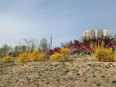 -永定河休闲森林公园