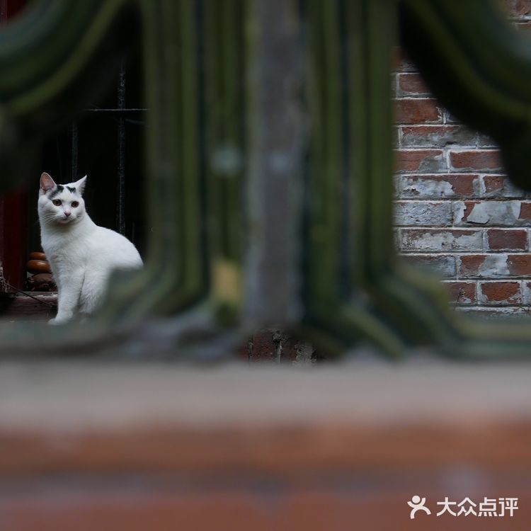 漫步东山口，感受老广州