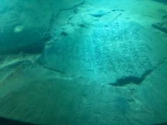-白鹤梁水下博物馆