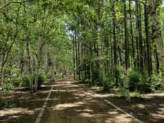 -长春市南湖公园