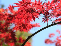 -苏州河梦清园环保主题公园