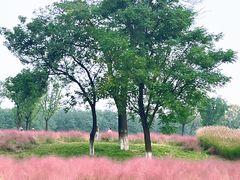 -汉长安城未央宫国家考古遗址公园