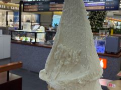 -野人先生Gelato(上海长宁龙之梦店)