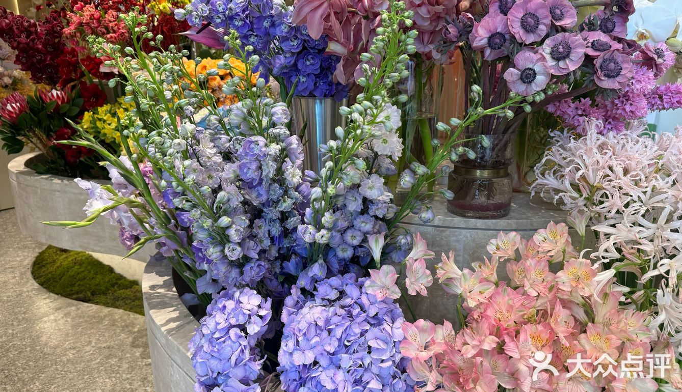 南京恰饭日常｜花的海洋｜优惠