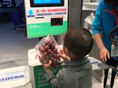 -盒马X会员店(王府井奥莱UP TOWN店)