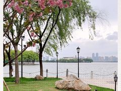 -南昌青山湖风景区