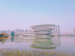 -梅溪湖城市岛