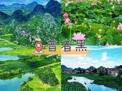 -普洱太阳河森林公园