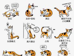 -必胜客(威高广场店)