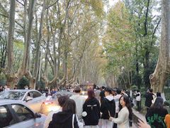 -南京十朝历史文化园-停车场