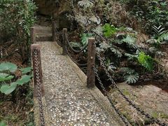 -滴水岩森林公园