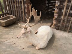 -白鹿原影视城