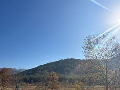 -塔川景区