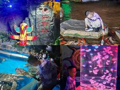 -泉城欧乐堡海洋极地世界