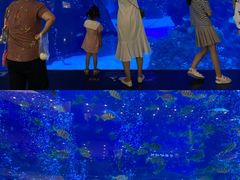 景点-成都浩海立方海洋公园