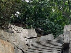 -广州市白云山风景名胜区