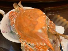 -金港大酒店中餐厅(江北外滩店)