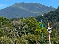 -梧桐山风景名胜区